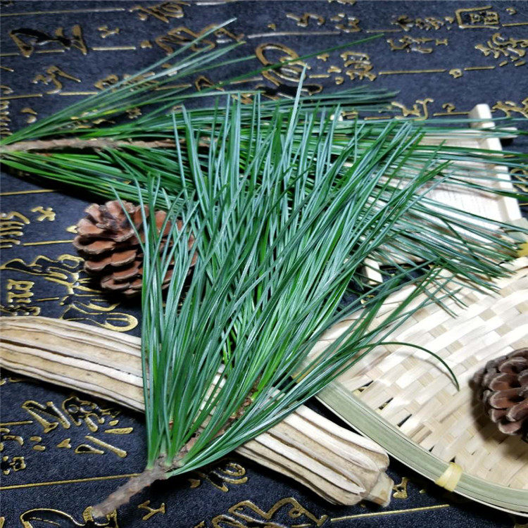 东北一斤马尾松油松红松松针五针长白山五叶新鲜养生茶
