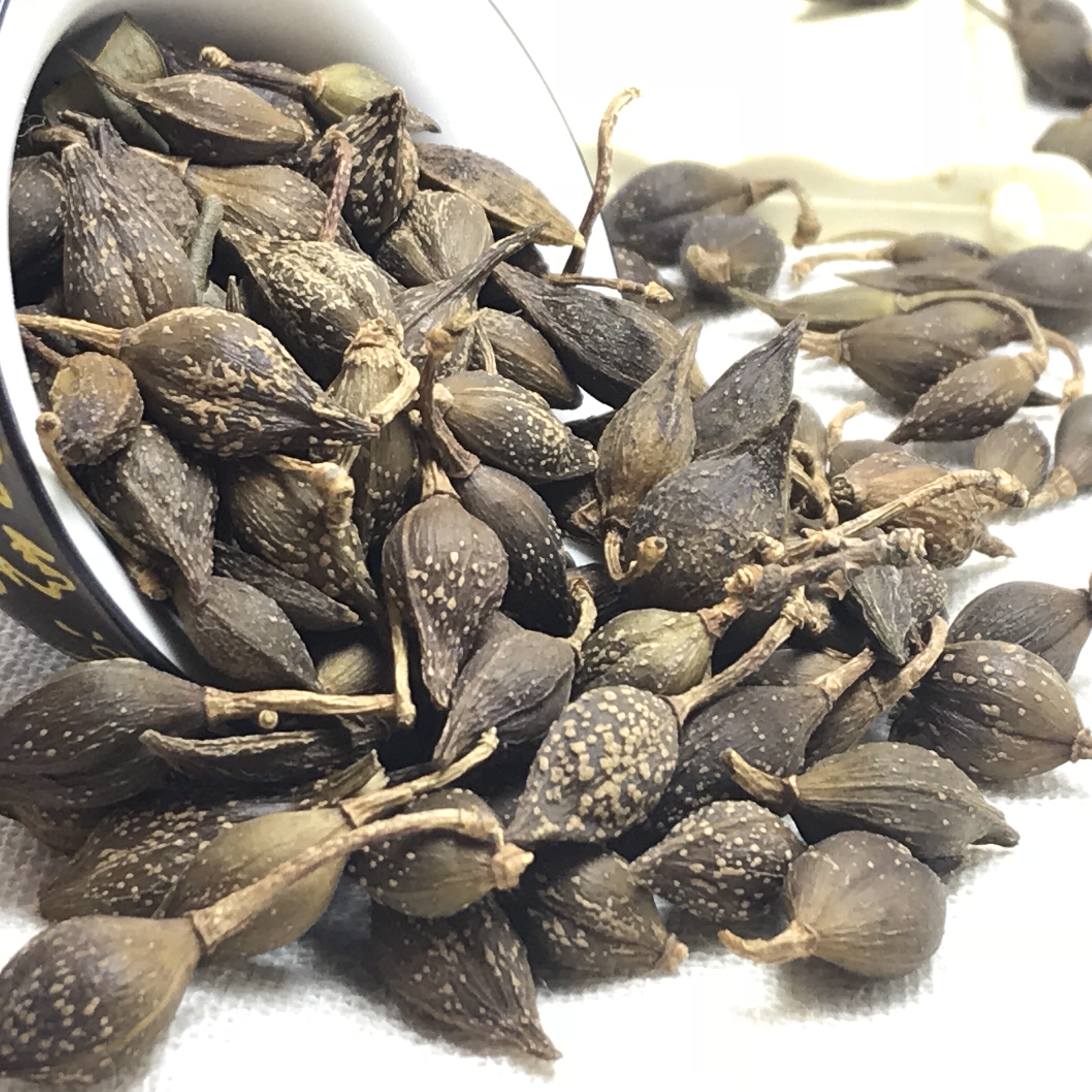 连翘中药材500g包邮青翘青连翘茶筛选无子无硫黄翘老乔连翘粉老翘