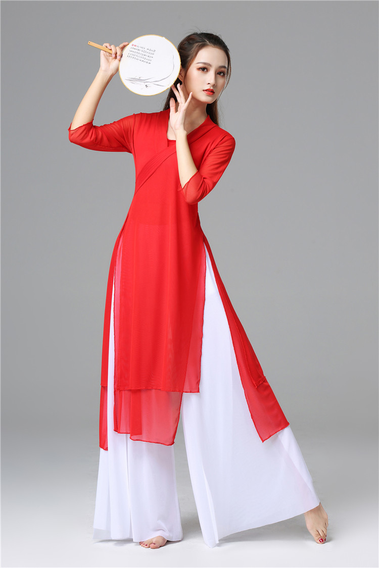中国国风飘逸现代舞练功服女成人古典舞蹈裙裤民族服装