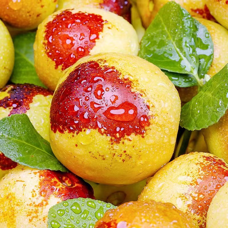 陕西渭南大荔县冬枣原产地直销应季水果新鲜冰糖枣