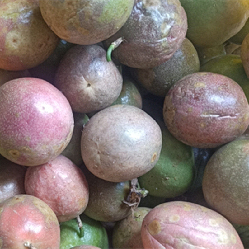 广西百香果花皮果皱皮大果次果奶奶茶果汁专用百香果