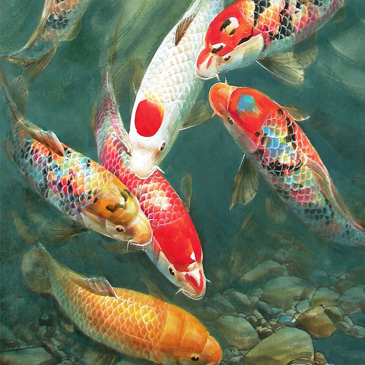 九鱼图中中式挂画欢畅锦鲤鲤鱼九余卷轴国画国画