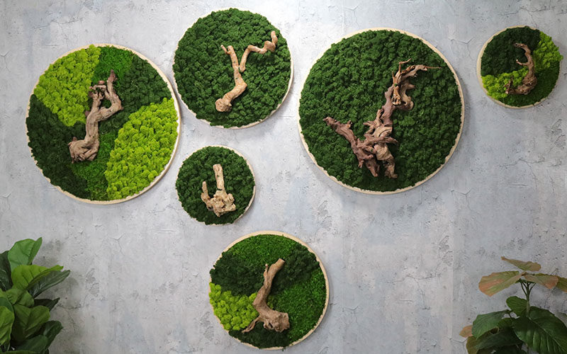 装饰壁挂青苔永生苔藓挂壁天然植物干花圆形壁饰