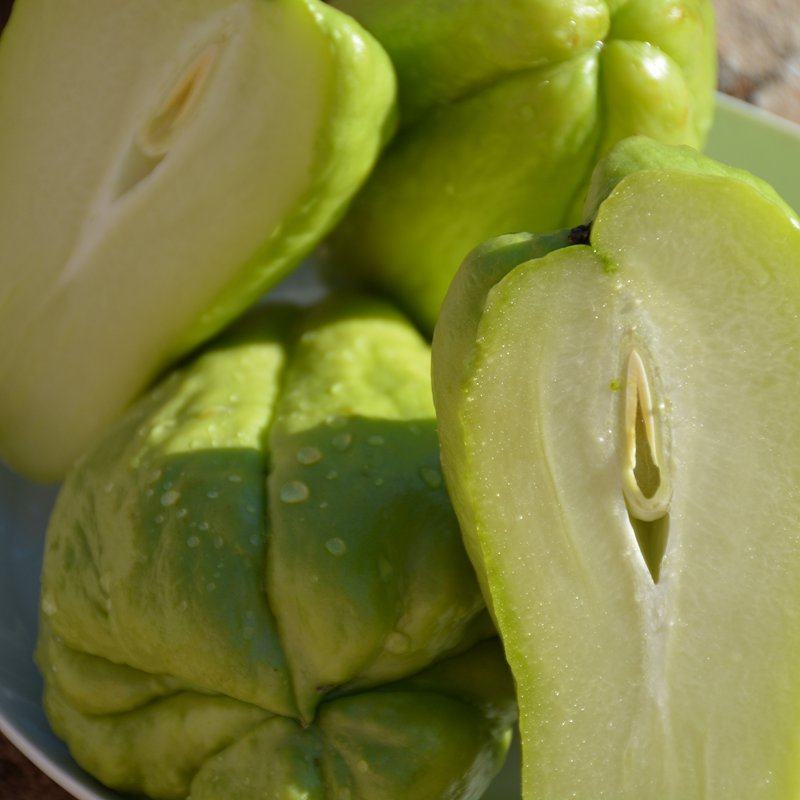 露天应季蔬菜佛手隼人安南南瓜寿瓜热炒凉拌其它