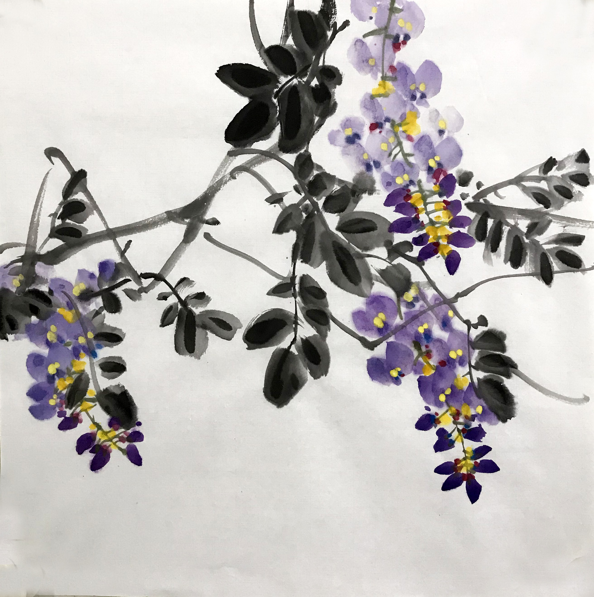 无款国画紫藤水墨画3966三尺斗方手绘玄关背景墙国画