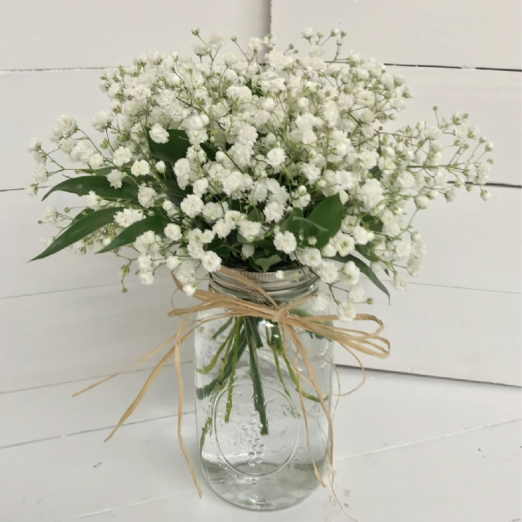 鲜花花町多色新鲜满天星情人草天星顺丰空运昆明鲜花速递同城