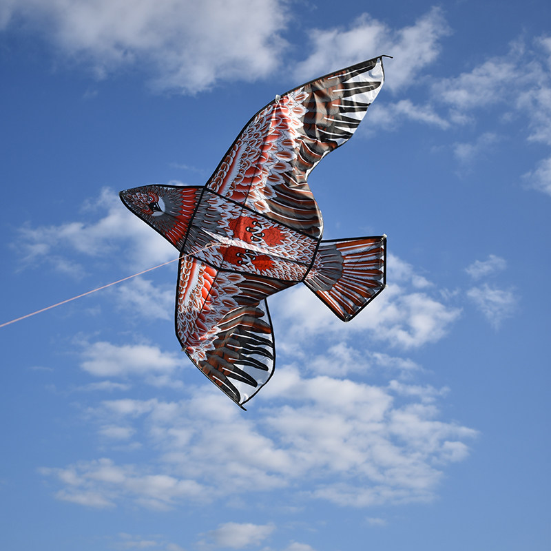 华筝天鹰风筝简单好飞成人老鹰撑杆结实耐用风筝