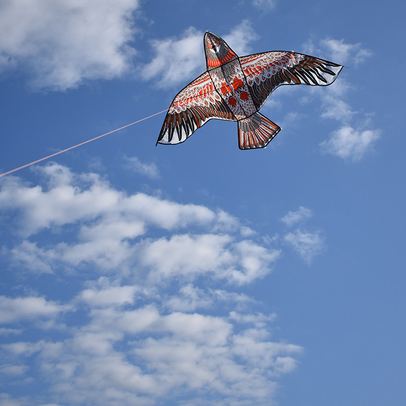 华筝天鹰风筝简单好飞成人老鹰撑杆结实耐用风筝