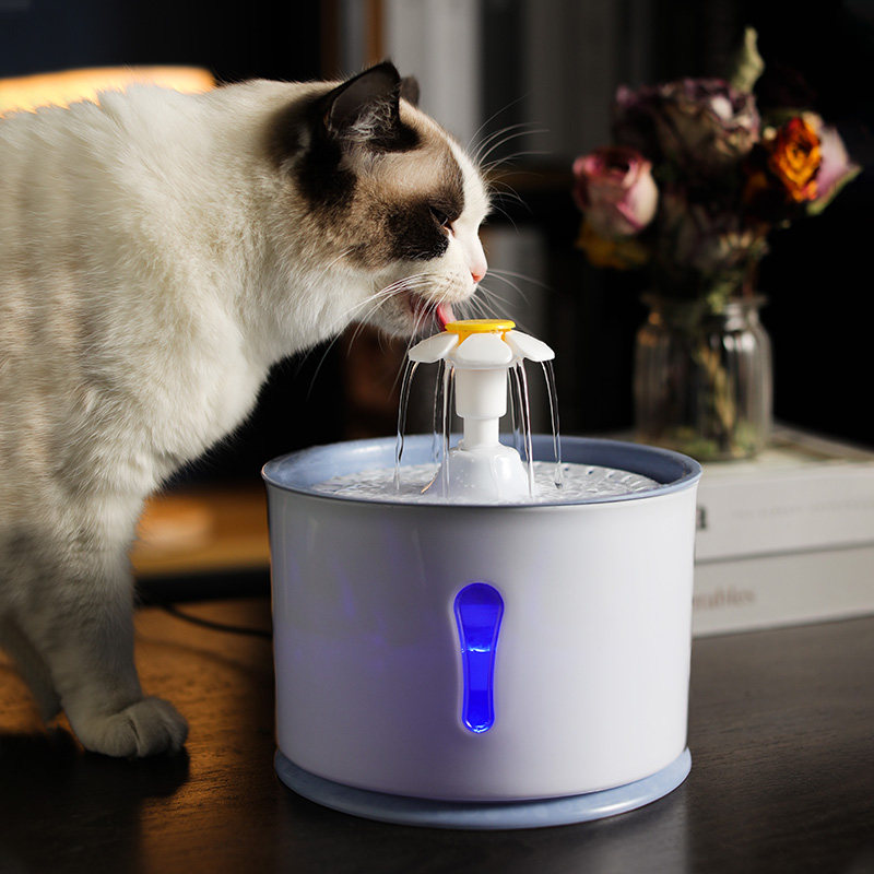 喝水猫咪饮水机宠物器不湿嘴饮水器猫水碗全自动饮水器