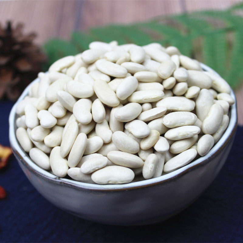 小白豆白芸豆500g云南小白芸豆白腰豆豆类饭豆白豇豆五谷杂粮粗粮