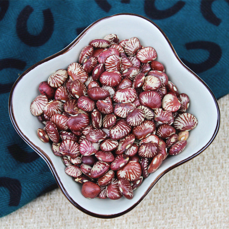 斑马肾豆花豆神豆农家荷包云南特产豆类杂粮其它