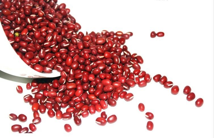 新货2021年海门农家自产红小豆粗粮小红豆非赤小豆红豆