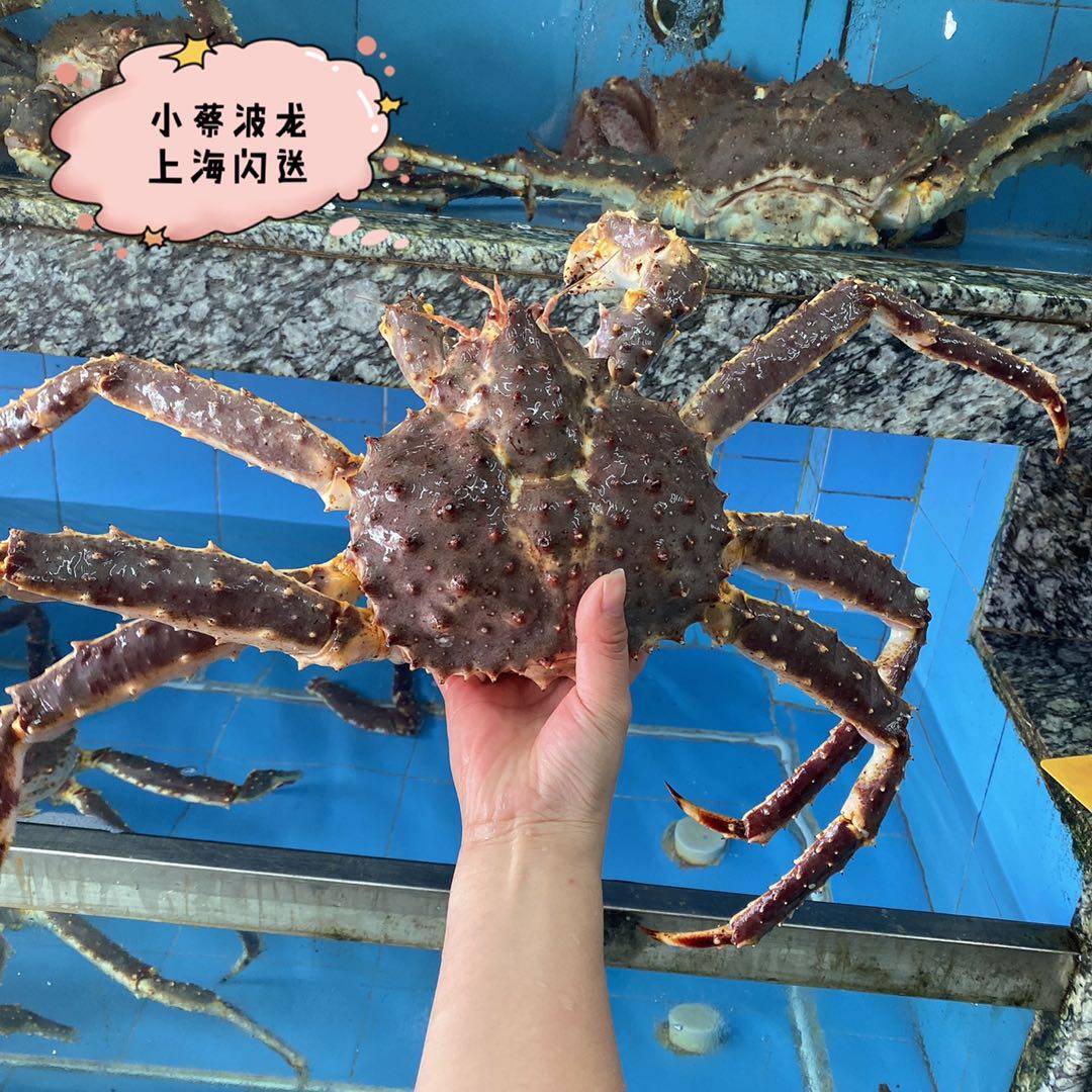 帝王鲜活阿拉斯加澳洲澳洲龙龙虾超特特大皇帝长脚帝王蟹