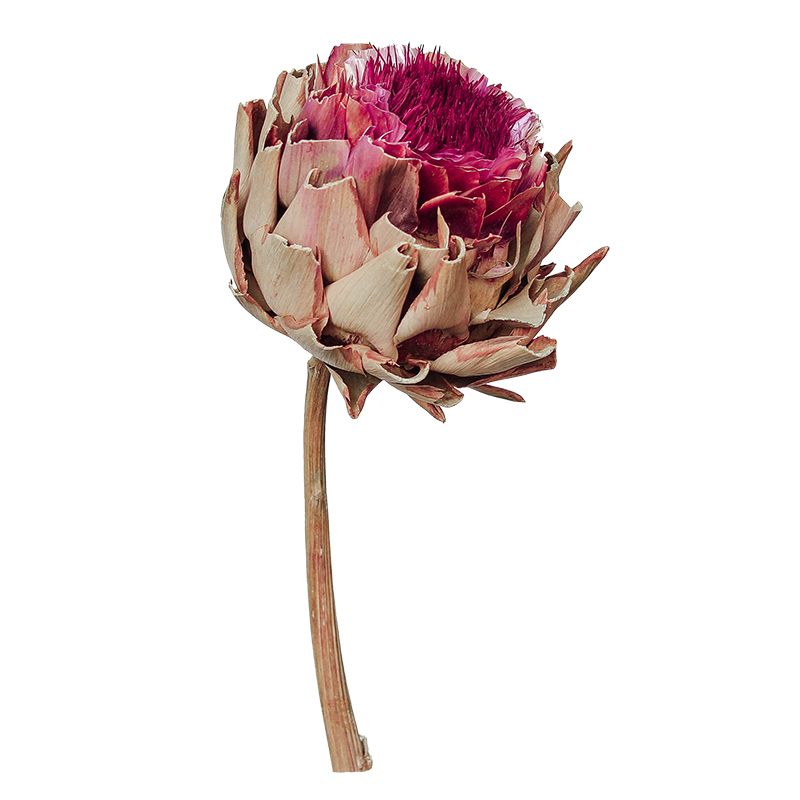帝王干花公主花进口真花复古高端办公室店铺装饰干花