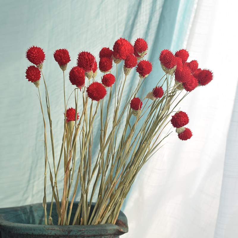云南千日红干花花束混合式田园风格服装店装饰橱窗干花