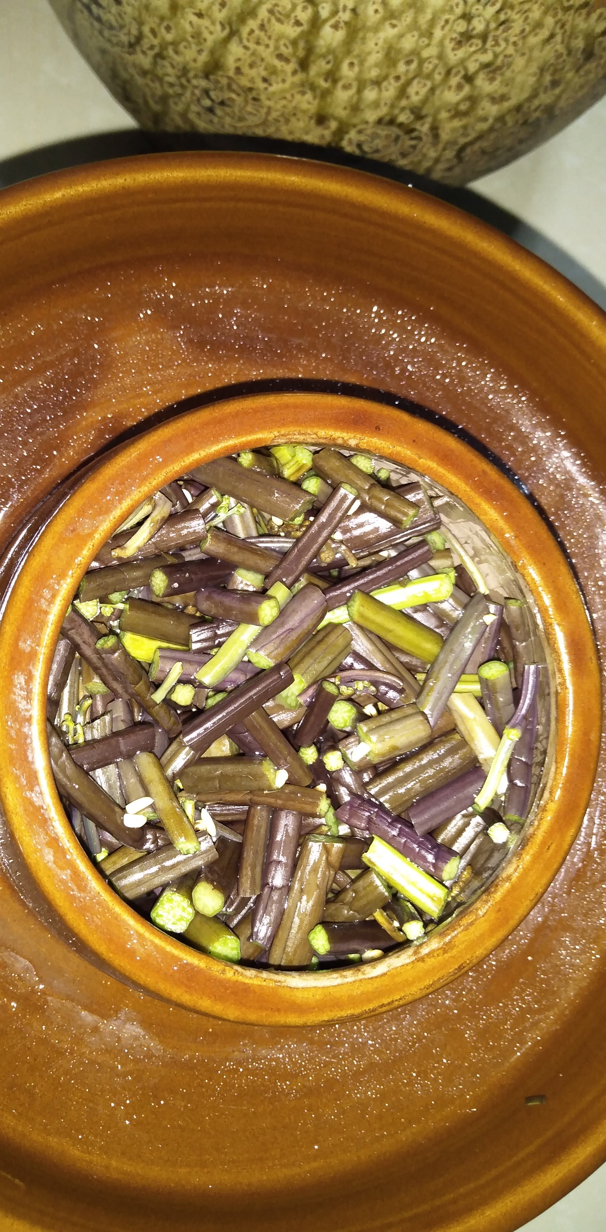 蕨菜短酸贵州黔东南黎平特产新鲜龙爪腌制一斤其他食品