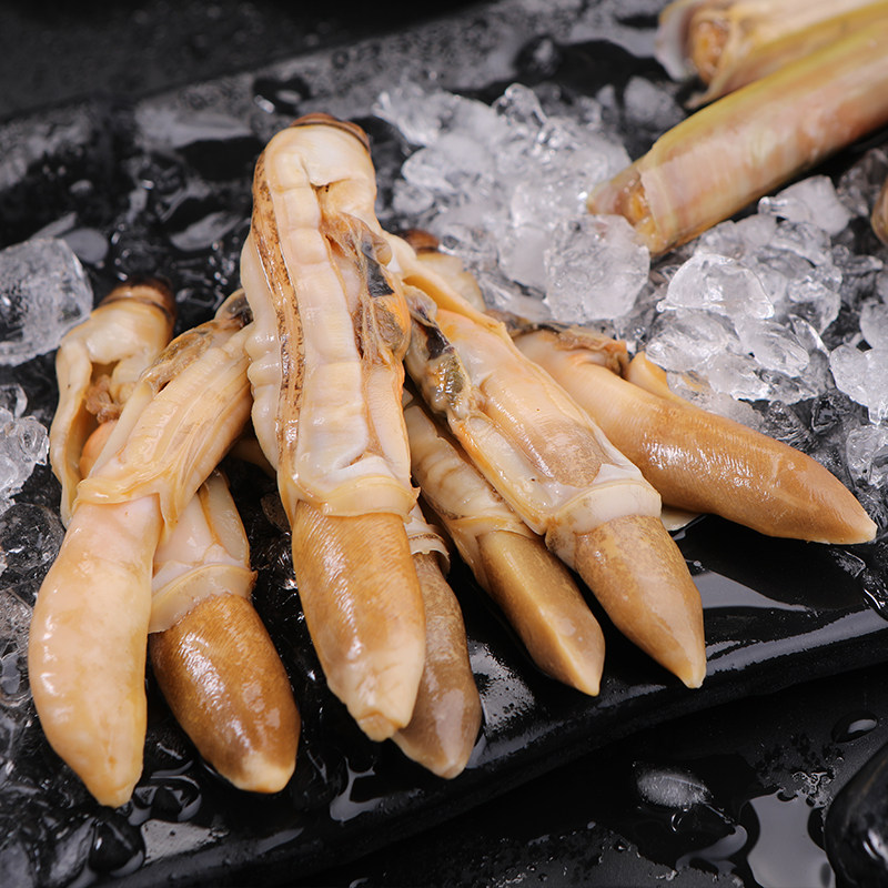 3份特大王特大水产超大海鲜竹蛏现剥鲜活新鲜蛏子