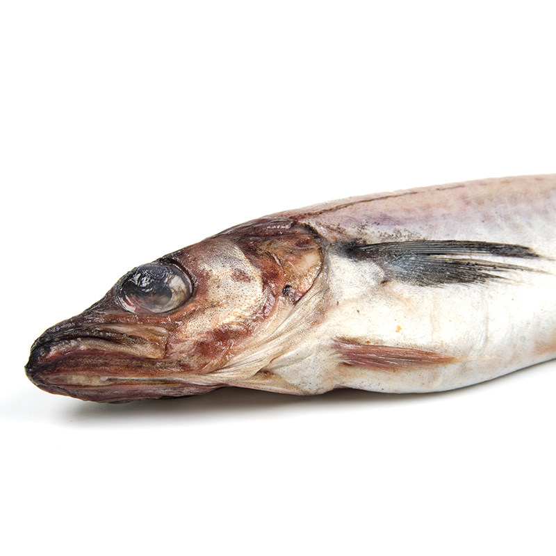 太鱼朝鲜族鲜明冷冻延边鱼籽大棒鳕鱼一份3斤鳕鱼