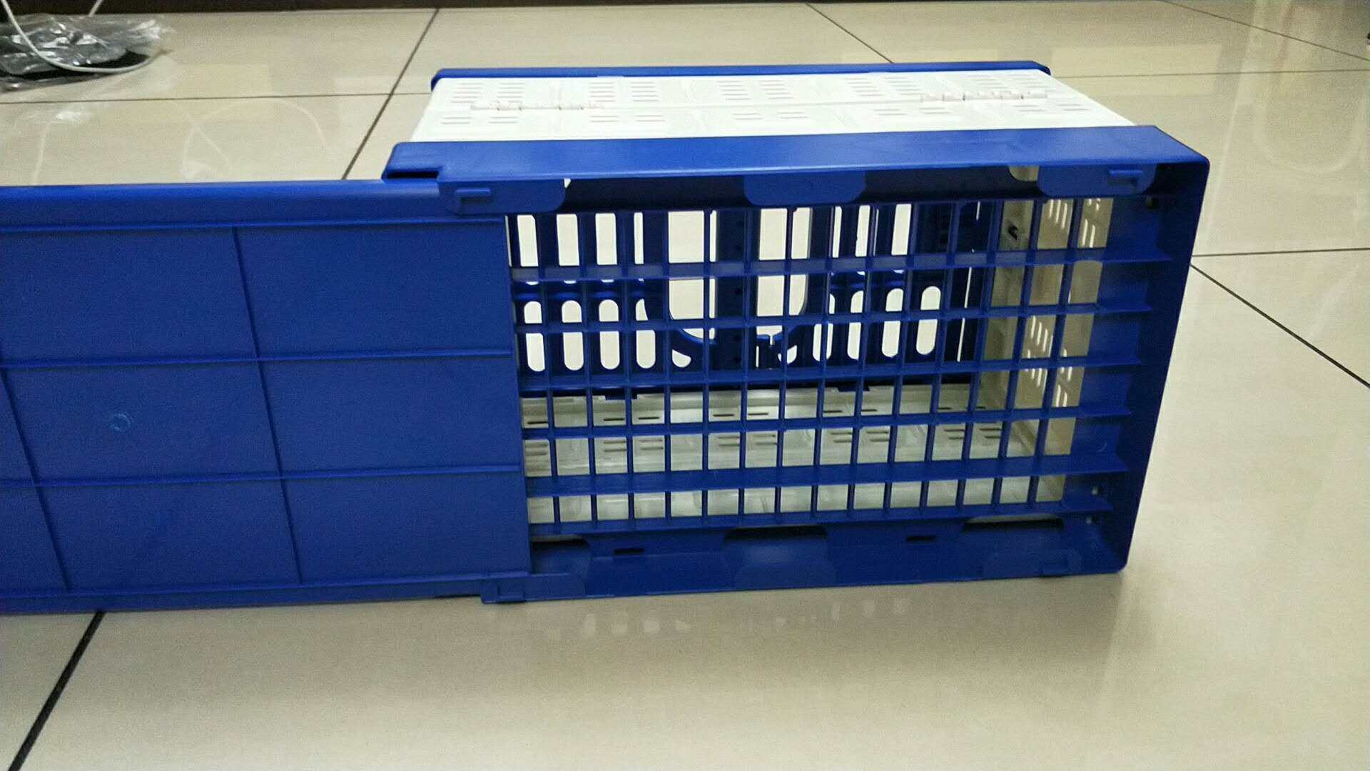 志昂包邮鸟鸽子用品用具信鸽放飞笼运输笼手提塑料笼宠物运输笼