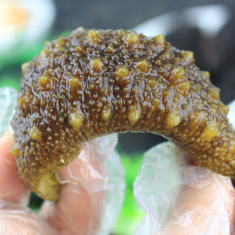 海参灰北极参250g 进口野生加拿大海参散装淡干货小刺参海渗深海