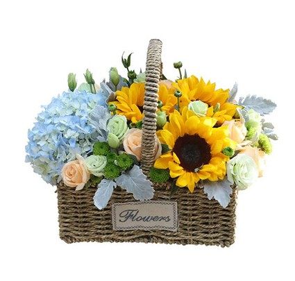 鲜花同城速递混搭绣球手提花篮保定市涞水高阳鲜花速递(同城)