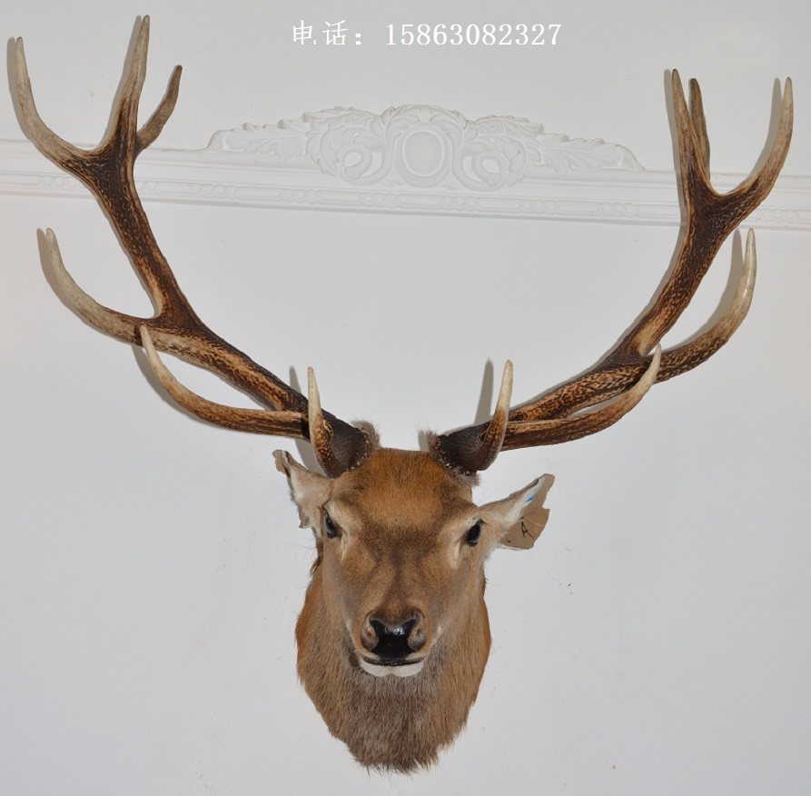 鹿头标本壁挂壁饰6a大号鹿角生财挂件欧式壁饰