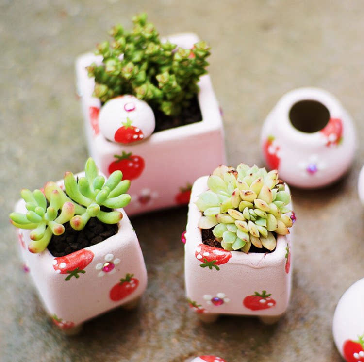 草莓可爱卡通多肉盆粗陶透气带钻多肉小花花盆花盆