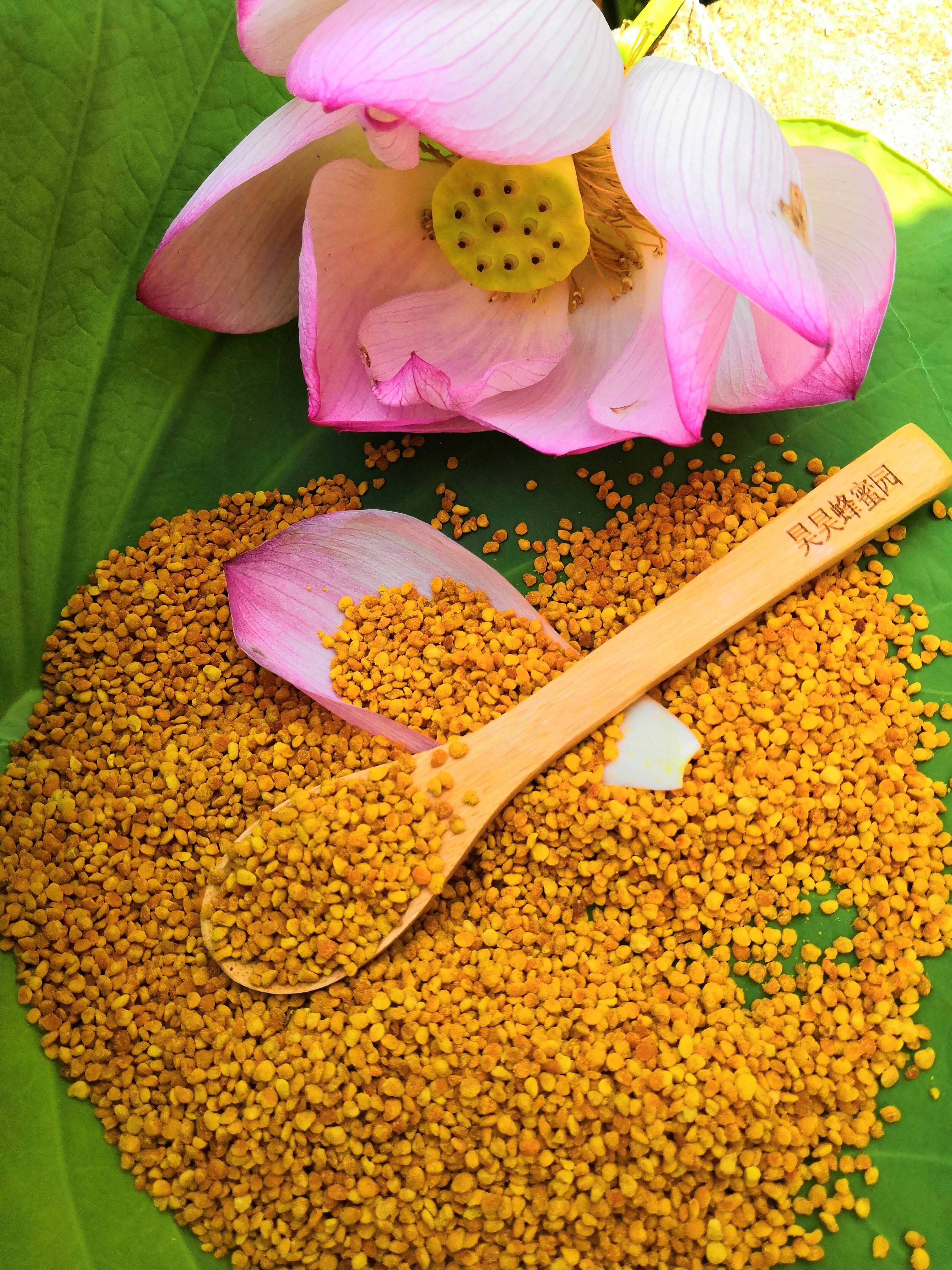 2020新鲜荷花粉纯天然食用蜂花粉农家自产250克