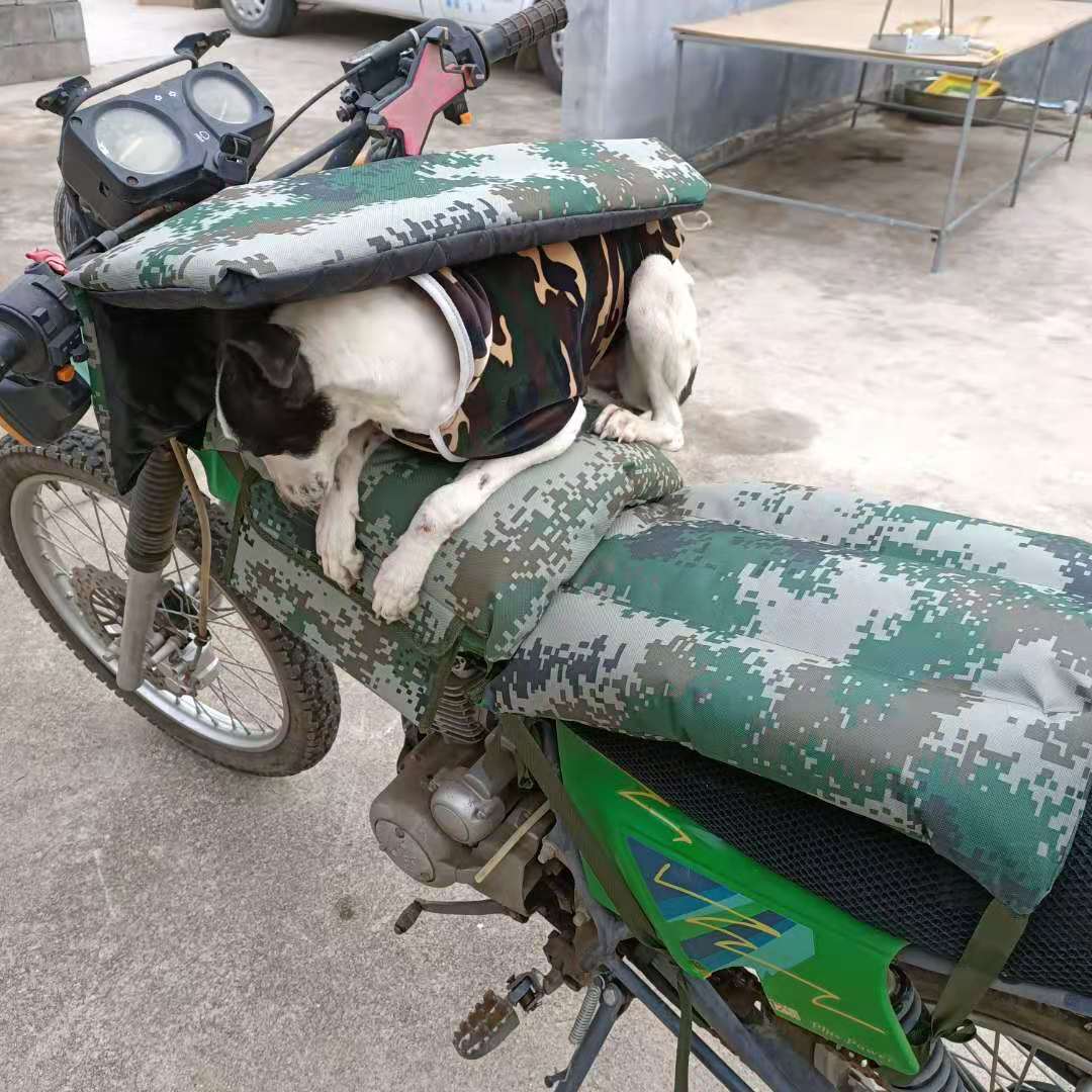 越野高赛摩托车油箱趴狗垫加坐垫狗爬摩托车坐垫