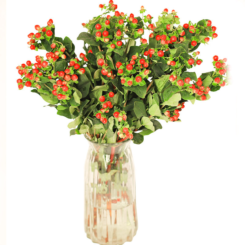 云南昆明直发红豆红豆相思相思豆鲜花真花花艺装饰鲜花速递(同城)