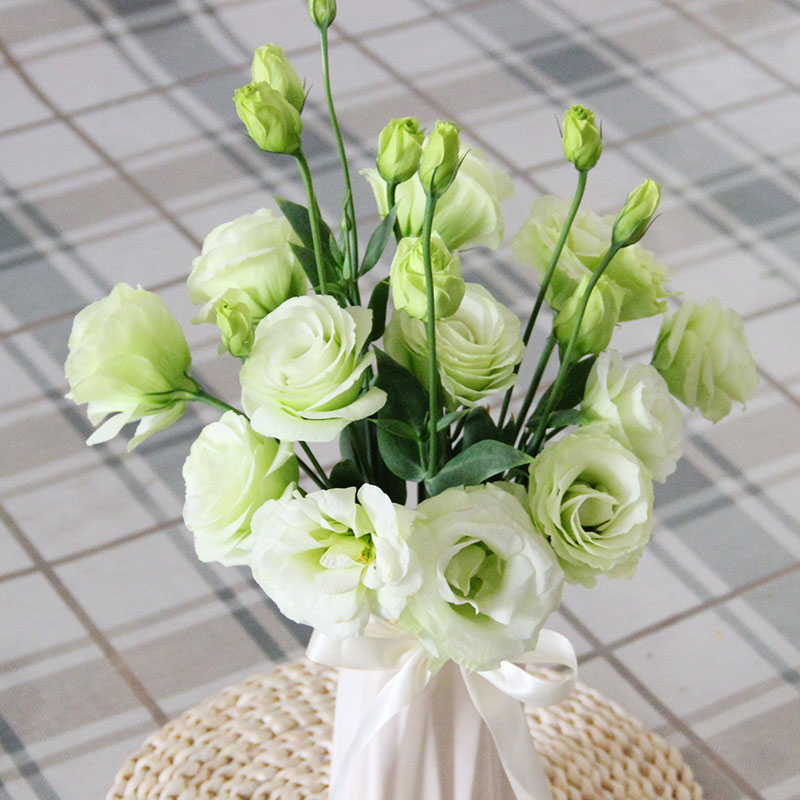 鲜花云南南昆明基地直多头洋桔梗花束直批家用水鲜花速递同城