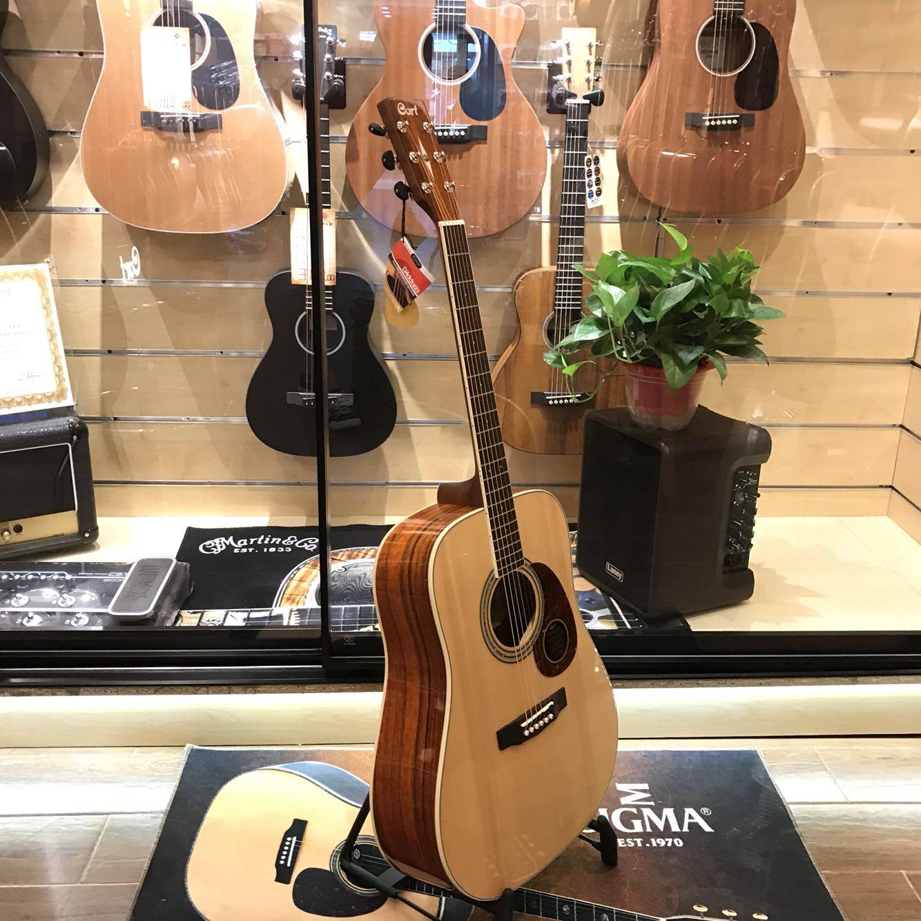 韩国考特cortearth100pd单板民谣木吉吉他吉他民谣吉他