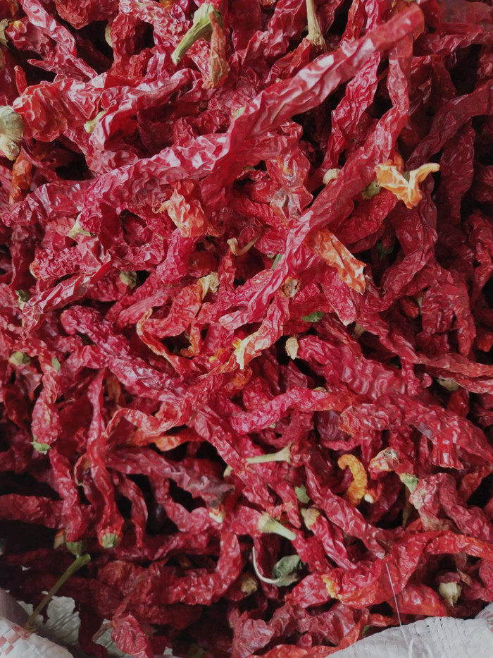 线椒5斤新疆大盘辣子统货包安集海干红红辣椒红线辣椒类调料