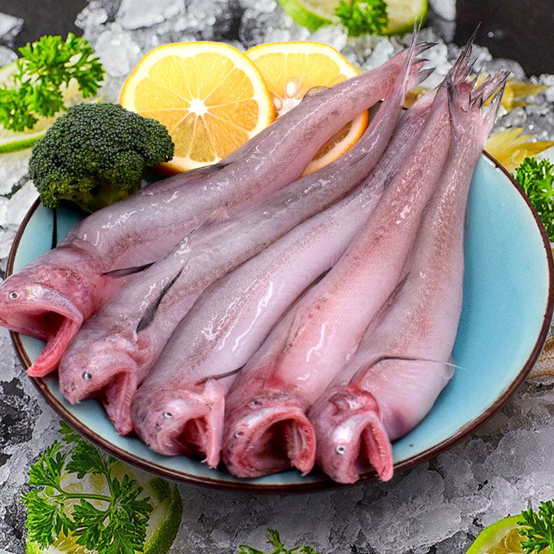 鲜活九肚鱼 3斤新鲜豆腐鱼海鲜龙头鱼宝辅食海鱼水潺当天现捕野生