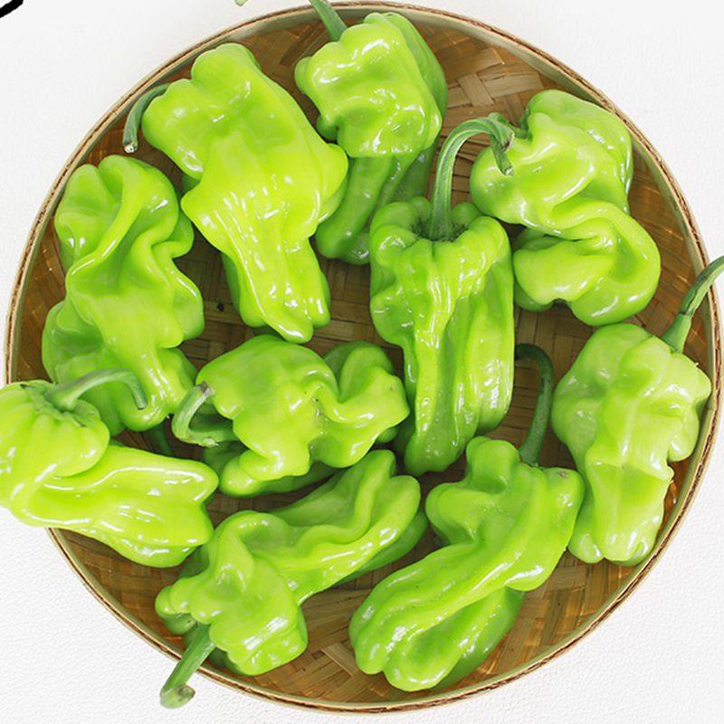 云南特有新鲜皱皮辣椒250g薄脆野生牛肝菌搭配辣椒粉料