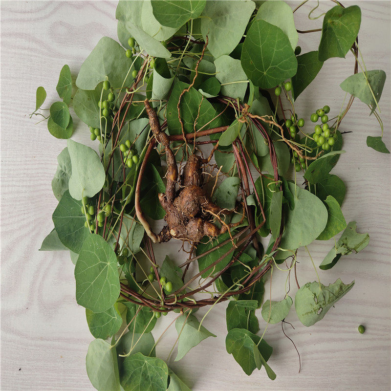 金线乌龟中药材千金藤头花白白药草药种苗根块其他药食同源食品