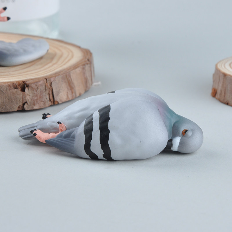 鸽子现货日本正版qualia扭蛋仿真小鸟动物摆件盒蛋