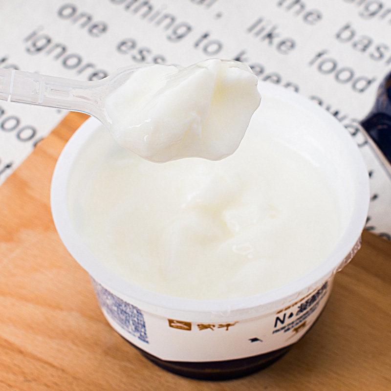 酸奶蒙牛凝酪乳老原味140g12杯低温牛奶西域酸奶