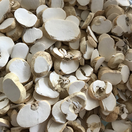 浙贝母片 无硫浙贝 川贝母 象贝母 土贝母 无硫中药材 500g克包邮