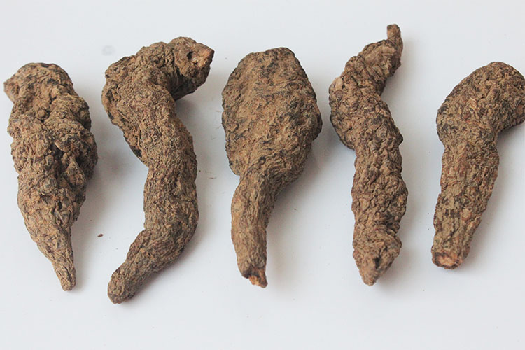 生地地黄3斤包邮怀药中草药材500g生地黄