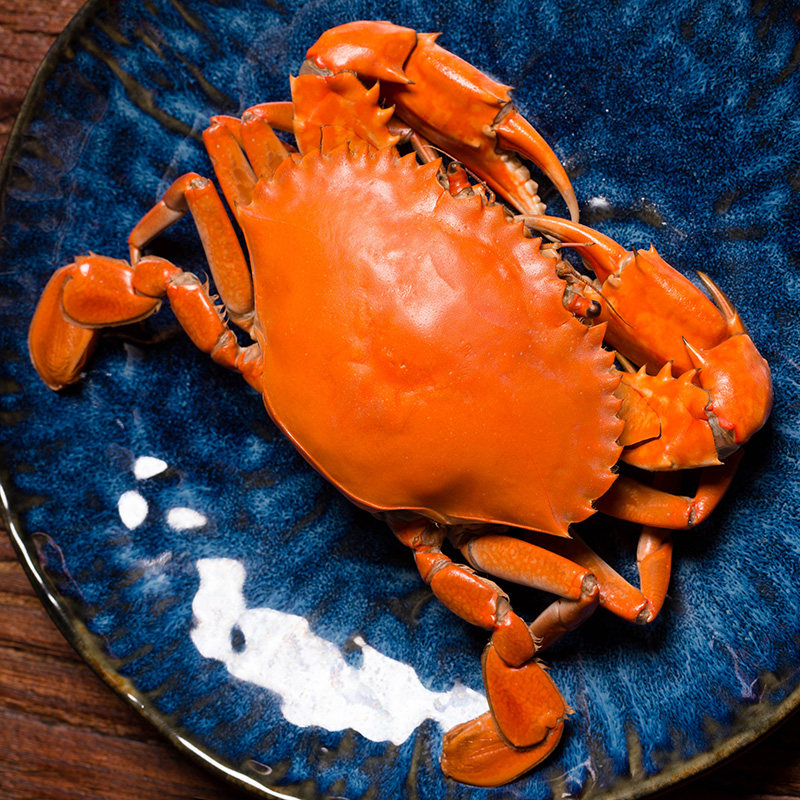 广东奄仔500g黄油鲜活海鲜水产螃蟹当季海蟹青蟹