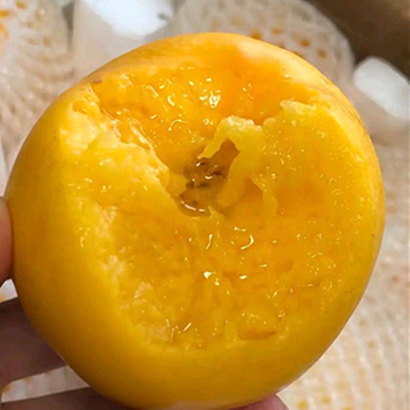 黄油桃子现摘包整箱毛重5斤爆汁无毛软水水蜜桃桃