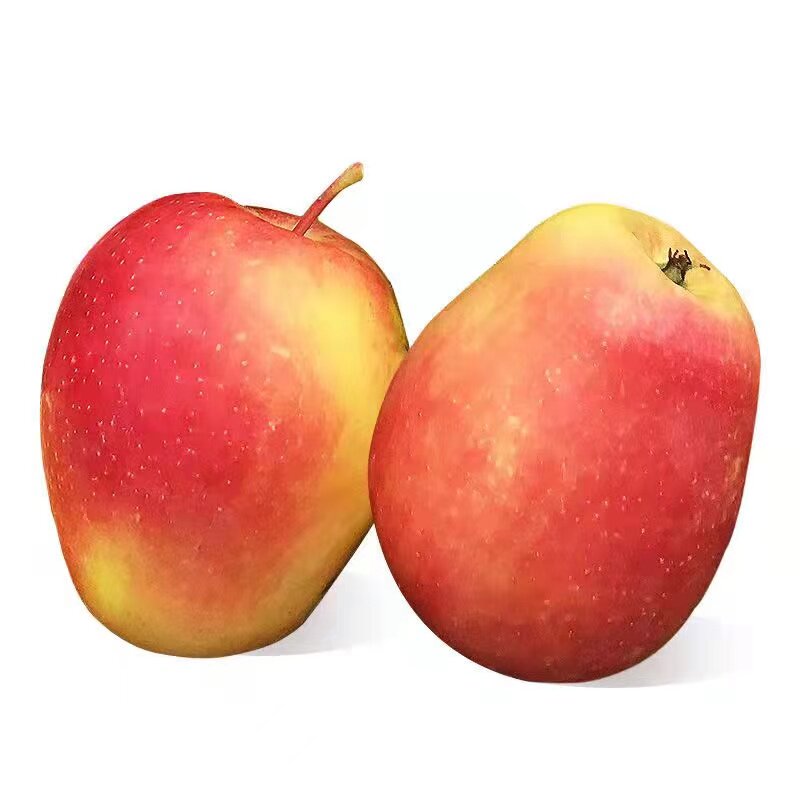 水果东北黑龙江特产龙冠新鲜应季甜口小苹果孕妇其它