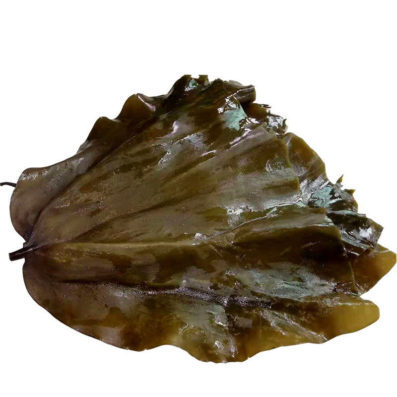 海带干海带头干货特级野生昆布海产品海菜根片海带