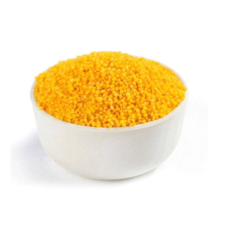 家乡装包5斤贡米熬粥月子辅食米宝宝小米朝阳小米