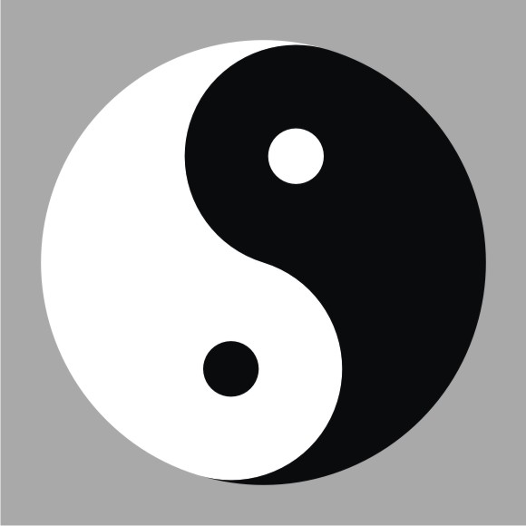 太极阴阳双鱼图贴贴纸相生相克此长彼消哲理墙贴软装墙贴