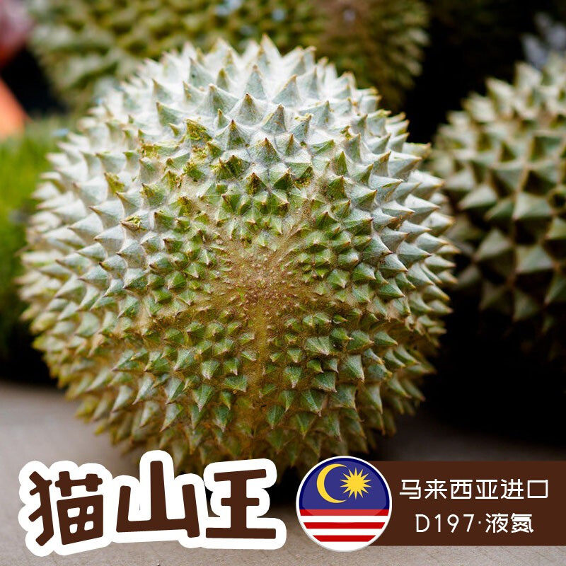 榴莲顺丰空运马来西亚猫山王新鲜液氮冷冻整个带壳榴莲