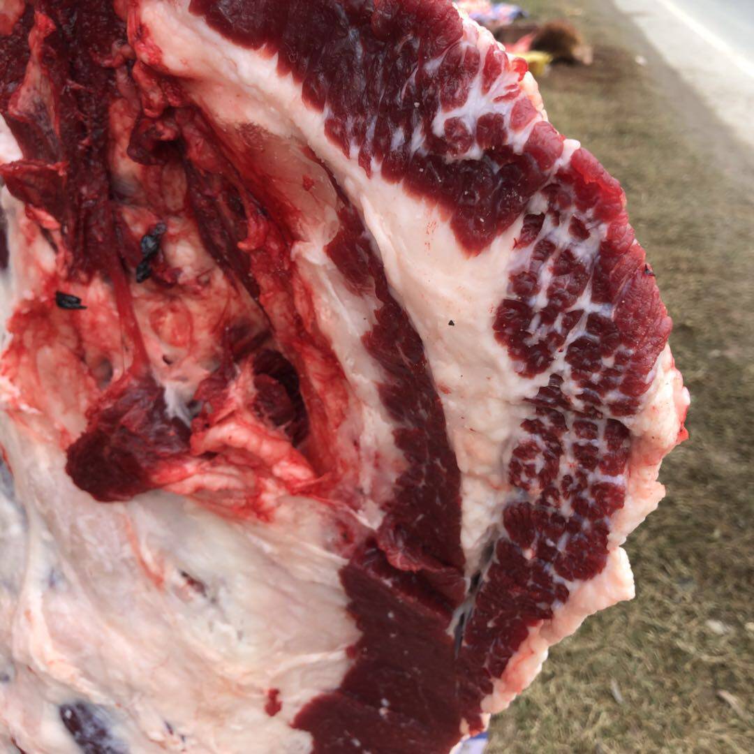 淮南牛肉新鲜黄牛肉农家土牛不注水 部位自选 顺丰包邮