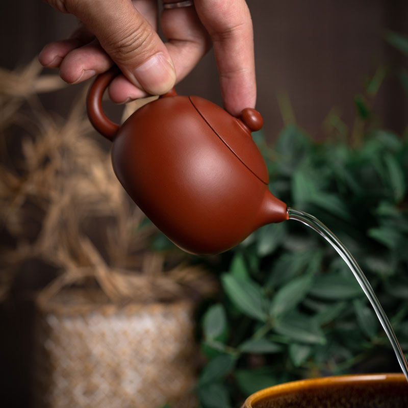 木鱼宜兴谭俊大红袍西施手工原矿紫砂壶泡茶茶壶茶壶