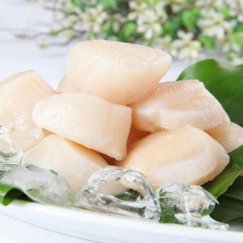 扇贝新鲜速冻贝丁鲜贝柱瑶贝柱500g去壳3份扇贝柱